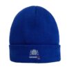SAVAGEAI.com Beanie Royal Blue Beanie cap with SAVAGEAI.com logo on it.